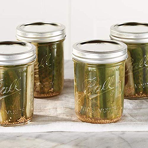 Ball Mason 4oz Quilted Jelly Jars with Lids and Bands, Set of 12