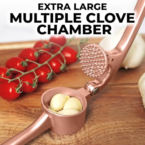 Zulay Kitchen Premium Garlic Press Set - Rust Proof & Dishwasher Safe Professional Garlic Mincer Tool - Easy-Squeeze, Easy-Clean with Soft, Ergonomic Handle - Silicone Garlic Peeler & Brush (Silver)