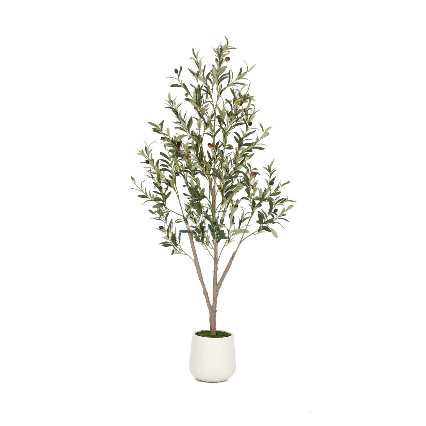 Olive Trees Artificial Indoor, 6FT Tall Faux Olive Tree with White Tall Planter, Artificial Plants with Natural Wood Trunk and Lifelike Fruits for Home Office Decor