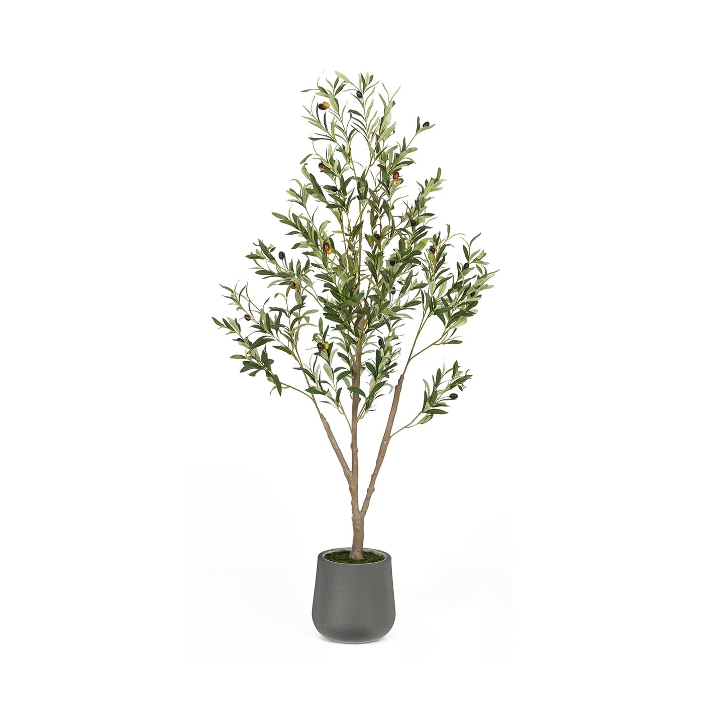 Olive Trees Artificial Indoor, 6FT Tall Faux Olive Tree with White Tall Planter, Artificial Plants with Natural Wood Trunk and Lifelike Fruits for Home Office Decor