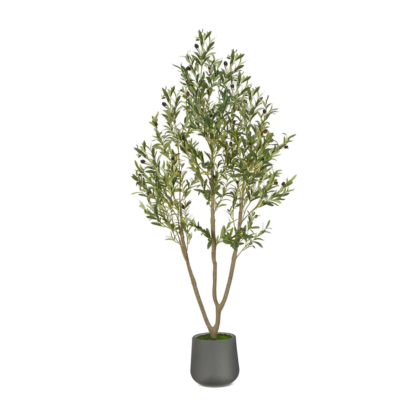 Olive Trees Artificial Indoor, 6FT Tall Faux Olive Tree with White Tall Planter, Artificial Plants with Natural Wood Trunk and Lifelike Fruits for Home Office Decor