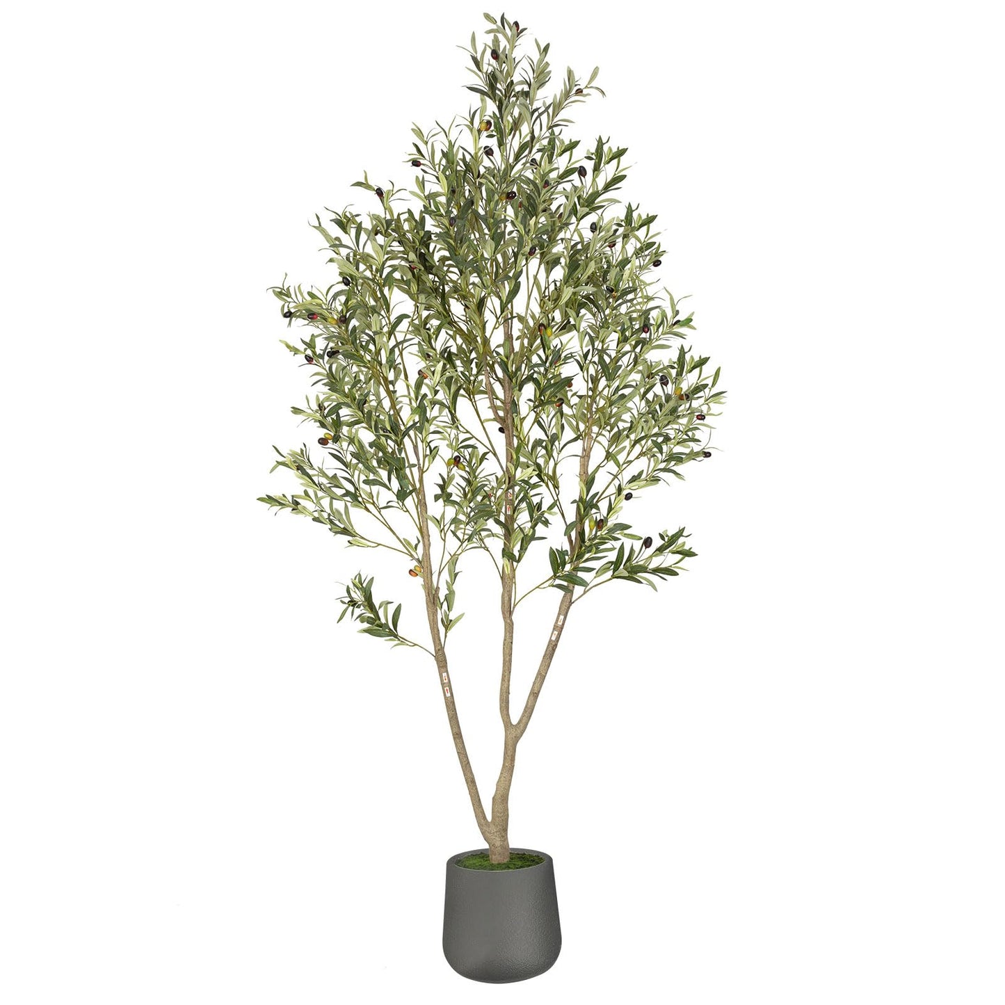 Olive Trees Artificial Indoor, 6FT Tall Faux Olive Tree with White Tall Planter, Artificial Plants with Natural Wood Trunk and Lifelike Fruits for Home Office Decor