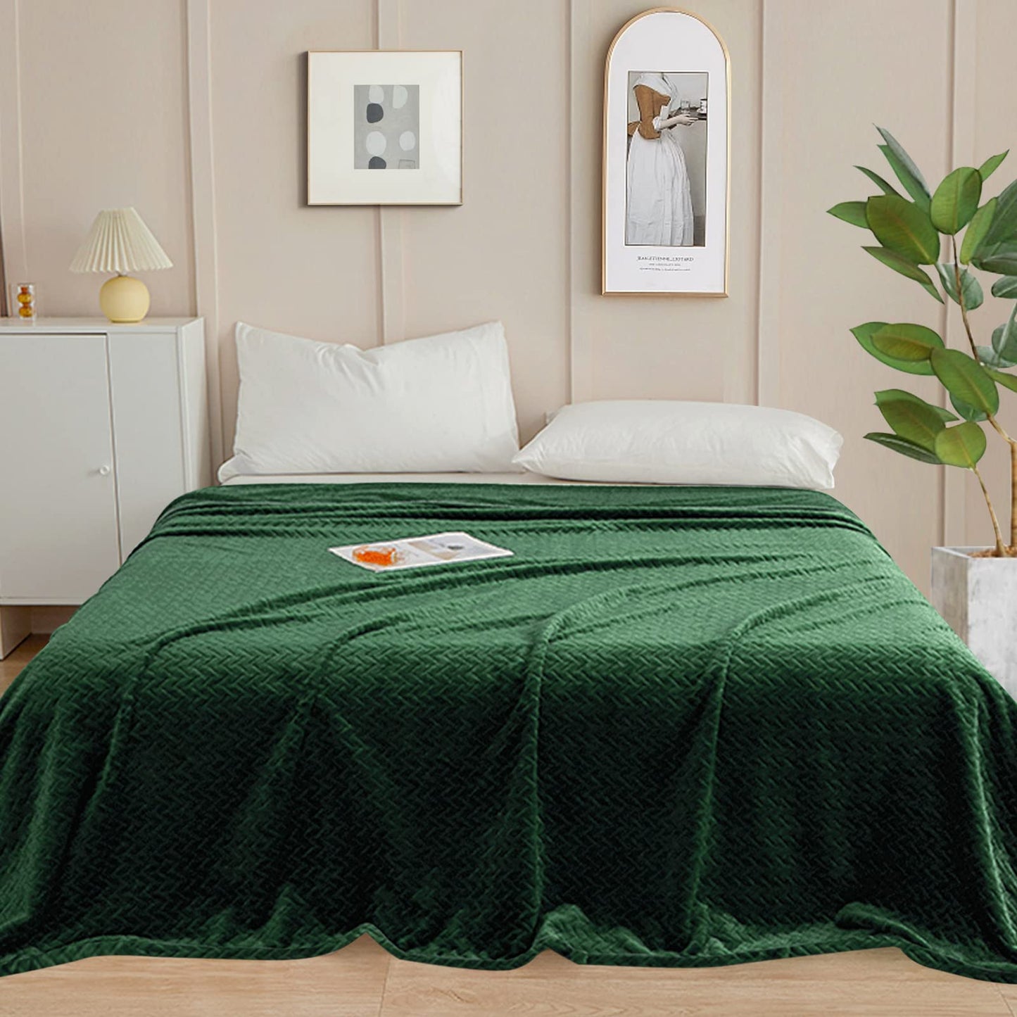Inhand Fleece Throw Blankets, Super Soft Flannel Cozy Blankets for Adults, Washable Lightweight Blanket for Couch Sofa Bed Office, Warm Plush Blankets for All Season (50"×60", Green)
