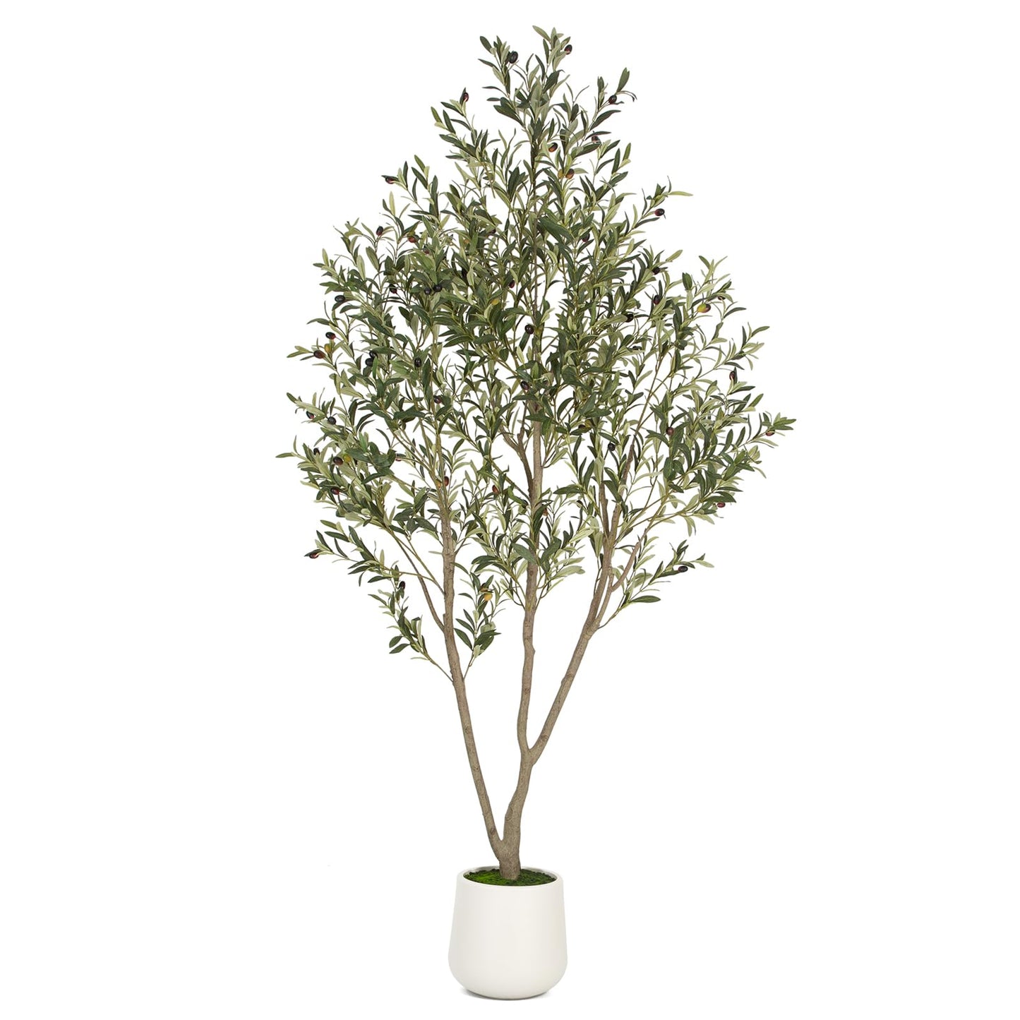 Olive Trees Artificial Indoor, 6FT Tall Faux Olive Tree with White Tall Planter, Artificial Plants with Natural Wood Trunk and Lifelike Fruits for Home Office Decor
